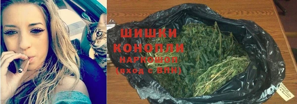 амф Богданович